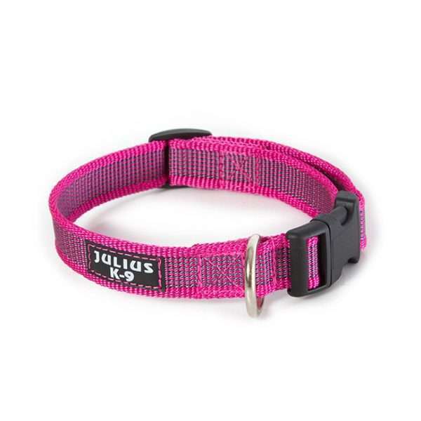 Julius K9 NZ Color & Gray collar in pink