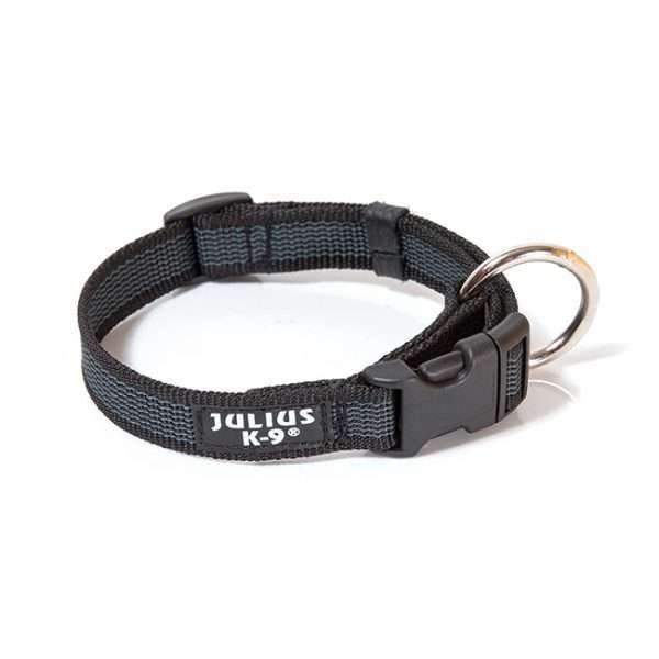 Julius K9 NZ Color & Gray collar in black