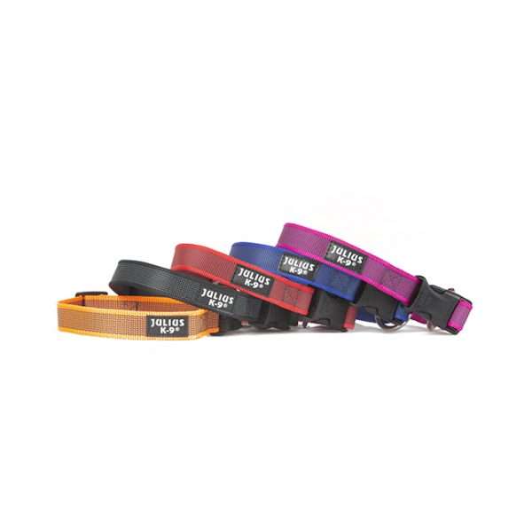 Color & Gray® Collar