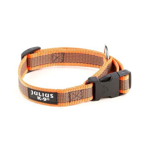 Julius K9 NZ Color & Gray collar in orange