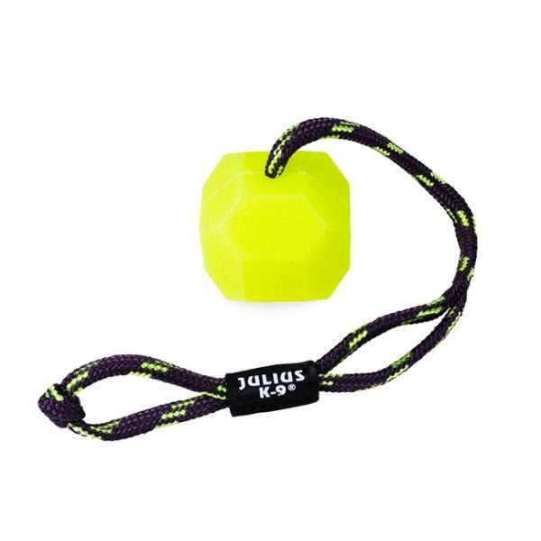 Neon Fluorescent Ball