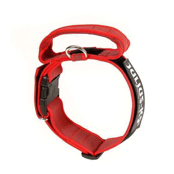 Julius K9 Color and Gray collar with closable handle in red