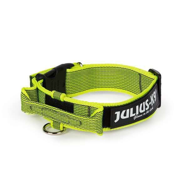 Julius K9 Color and Gray collar with closable handle in neon