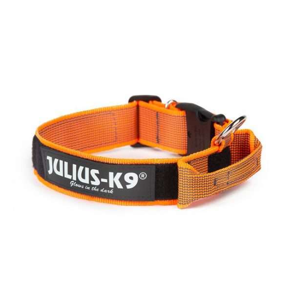 Julius K9 Color and Gray collar with closable handle in orange