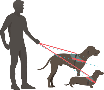 Diagram showing Julius K9 IDC Power Harness is designed for each dog size