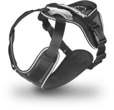 IDC Longwalk harness in black