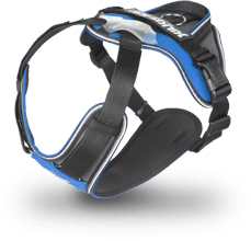 IDC Longwalk harness in blue