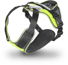 IDC Longwalk harness in green