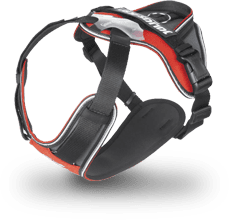 IDC Longwalk harness in red
