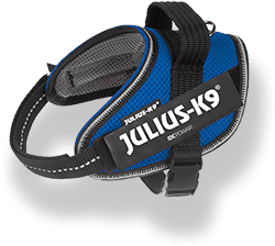 IDC Powair harness in blue