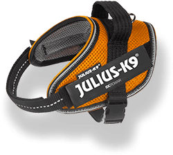 IDC Powair harness in orange