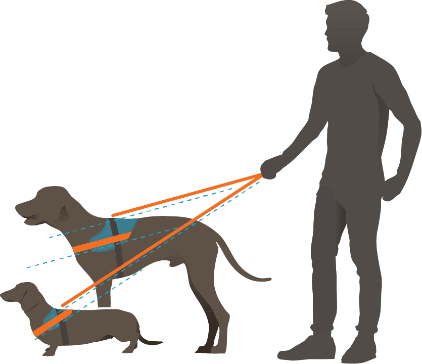 Diagram showing effective power transmission of Julius K9 IDC Powair