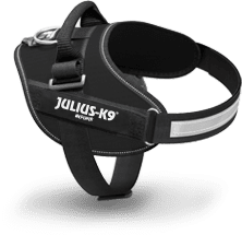 BLack IDC Power harness