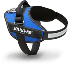 Blue IDC Power harness