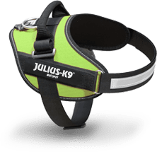 Green IDC Power harness