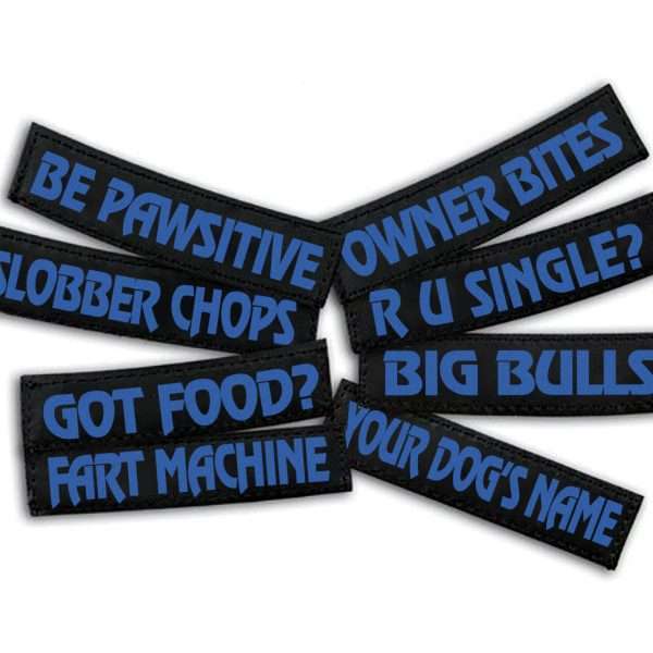 blue custom labels for your dog's accessories
