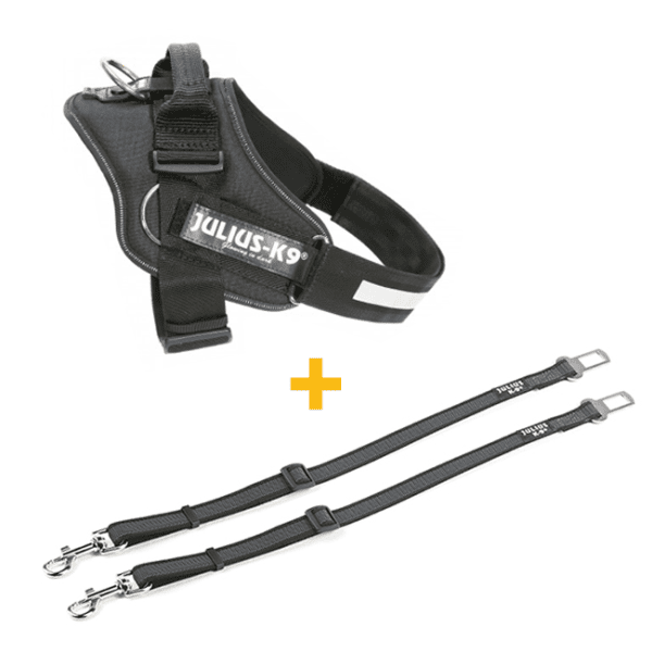 IDC Powerharness with side-rings and seatbelt connectors